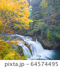 紅葉の渓谷(みなかみ町　照葉峡) 64574495