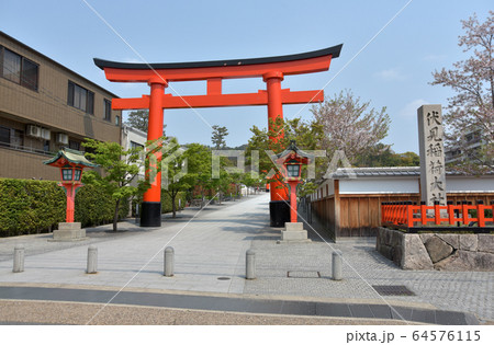 伏見稲荷大社 鳥居 伏見稲荷大社 鳥居 64576115