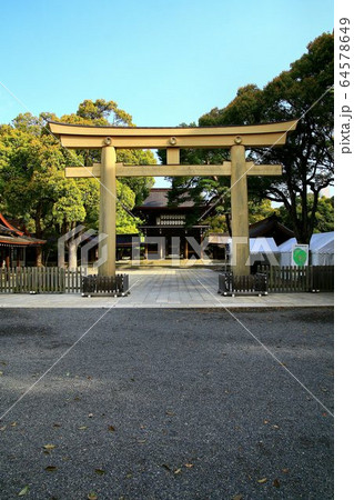 新緑が芽吹き始めた晩春の明治神宮 新緑が芽吹き始めた晩春の明治神宮 64578649