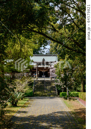 都萬神社 都萬神社 64579821
