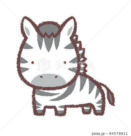 Zebra Stock Illustration