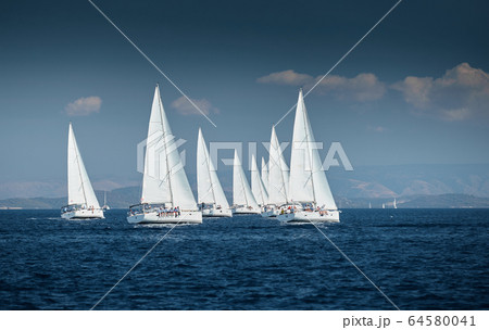 The race of sailboats, a sail regatta, reflection of sails on water, Intense competition, number of boat is on aft boats, Bright colors, island is on background 64580041