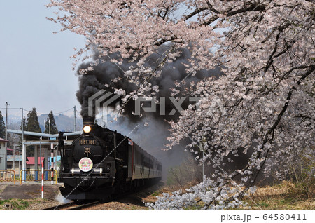 桜舞う 春の風景 桜舞う 春の風景 64580411
