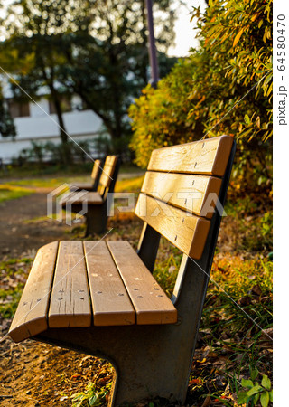 夕日に照らされる公園のベンチの写真素材 [64580470] - PIXTA