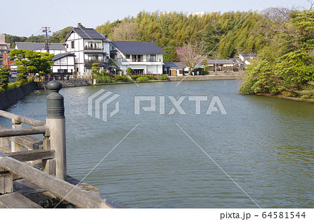 松江城堀川の春の景色 松江城堀川の春の景色 64581544