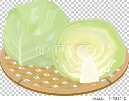 キャベツ　半分　断面　かご盛り 64581948