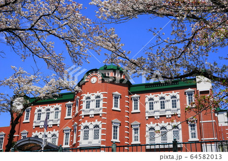 4月 深谷108深谷駅(新装)南口の桜 4月 深谷108深谷駅(新装)南口の桜 64582013