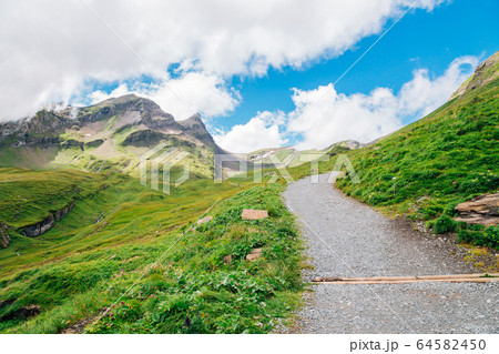 Swiss Alps mountain Grindelwald First in Switzerland Swiss Alps mountain Grindelwald First in Switzerland 64582450