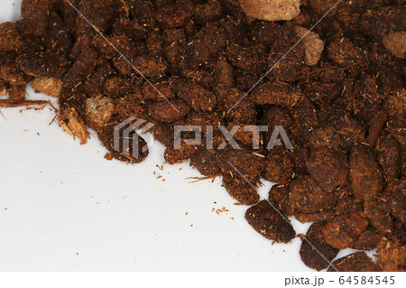 カブトムシ幼虫の糞 園芸の肥料の写真素材