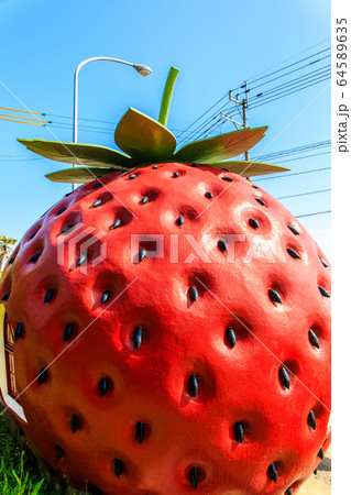 フルーツバス停：イチゴ　【長崎県諫早市小長井町】 64589635