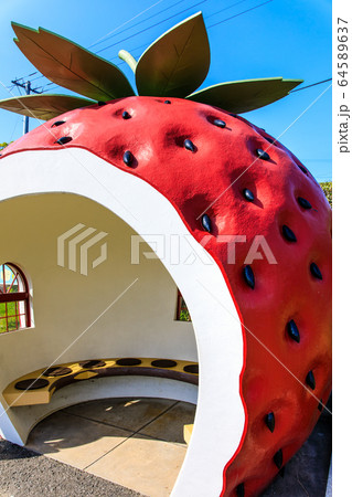 フルーツバス停:イチゴ 【長崎県諫早市小長井町】 フルーツバス停:イチゴ 【長崎県諫早市小長井町】 64589637