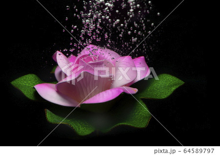 Artificial lotus Artificial lotus 64589797