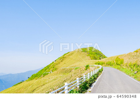 瓶ヶ森林道 64590348