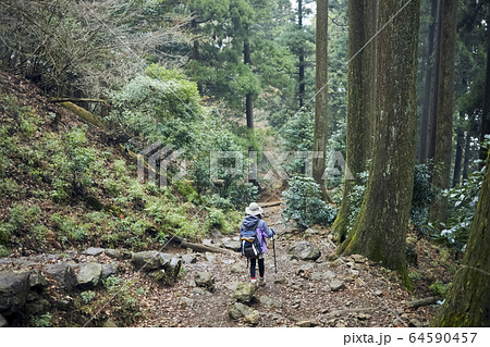 登山をする女性 64590457
