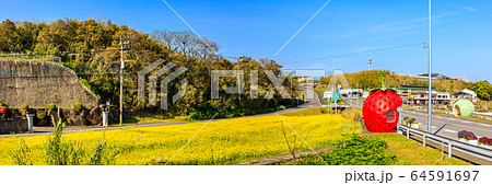 フルーツバス停:イチゴとメロンと菜の花 パノラマ 【長崎県諫早市小長井町】 フルーツバス停:イチゴとメロンと菜の花 パノラマ 【長崎県諫早市小長井町】 64591697