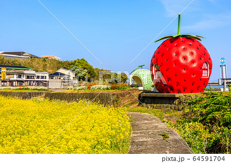 フルーツバス停：イチゴとメロンと菜の花　【長崎県諫早市小長井町】 64591704
