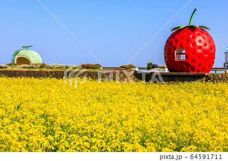 フルーツバス停：イチゴとメロンと菜の花　【長崎県諫早市小長井町】 64591711