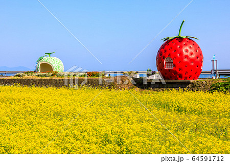 フルーツバス停：イチゴとメロンと菜の花　【長崎県諫早市小長井町】 64591712