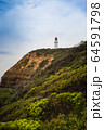 Natural view with lighthouse in Mornington 64591798