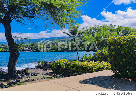 （ハワイ）ビッグアイランド・大自然の島 64591965