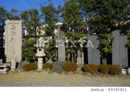 光明寺 光明寺 64592921