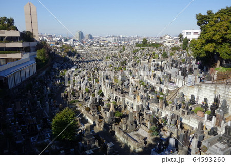 久保山墓地 64593260