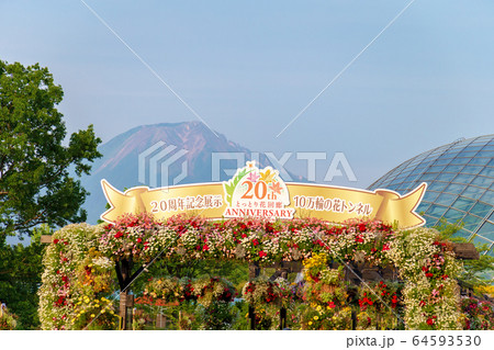 鳥取花回廊 (5月 晴れ) 鳥取花回廊 (5月 晴れ) 64593530