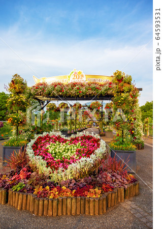 鳥取花回廊　(5月　晴れ) 64593531