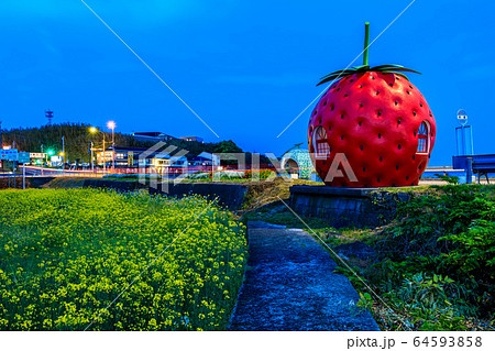 フルーツバス停：イチゴとメロンと菜の花　夜景　【長崎県諫早市小長井町】 64593858
