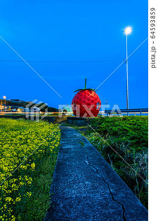 フルーツバス停：イチゴとメロンと菜の花　夜景　【長崎県諫早市小長井町】 64593859