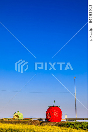 フルーツバス停：イチゴとメロンと菜の花　夕景　【長崎県諫早市小長井町】 64593913