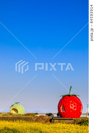 フルーツバス停：イチゴとメロンと菜の花　夕景　【長崎県諫早市小長井町】 64593914