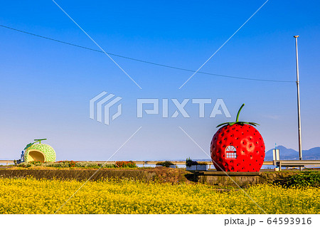 フルーツバス停：イチゴとメロンと菜の花　夕景　【長崎県諫早市小長井町】 64593916