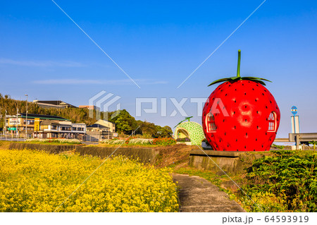 フルーツバス停：イチゴとメロンと菜の花　夕景　【長崎県諫早市小長井町】 64593919