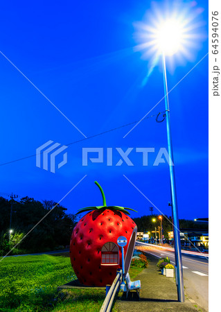 フルーツバス停:イチゴと菜の花 夜景 【長崎県諫早市小長井町】 フルーツバス停:イチゴと菜の花 夜景 【長崎県諫早市小長井町】 64594076