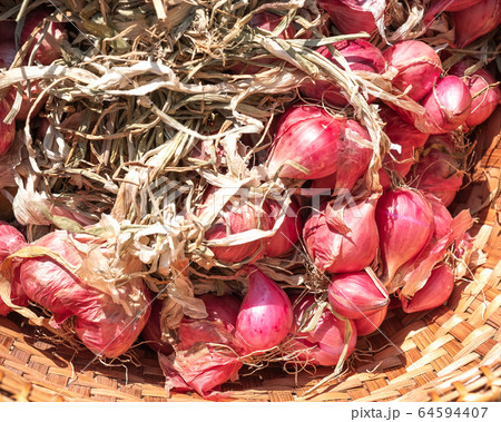 Organic shallot background vegetables. Organic shallot background vegetables. 64594407