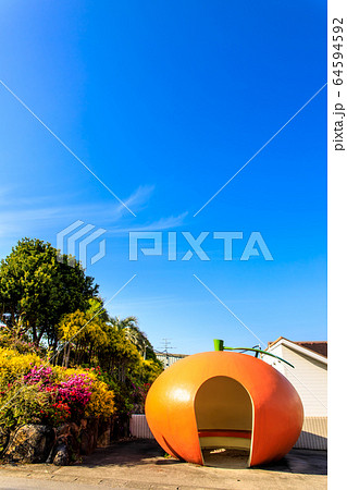 フルーツバス停：ミカン橙　【長崎県諫早市小長井町】 64594592