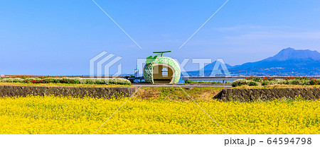フルーツバス停:メロンと菜の花 パノラマ 【長崎県諫早市小長井町】 フルーツバス停:メロンと菜の花 パノラマ 【長崎県諫早市小長井町】 64594798