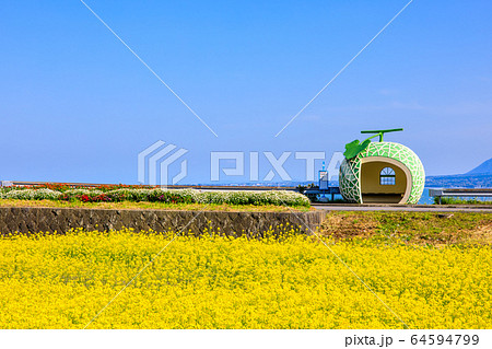 フルーツバス停:メロンと菜の花 【長崎県諫早市小長井町】 フルーツバス停:メロンと菜の花 【長崎県諫早市小長井町】 64594799