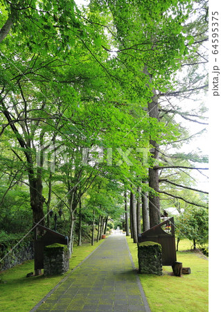 信濃追分風景 信濃追分風景 64595375