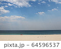海 64596537
