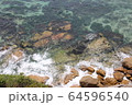 海 64596540