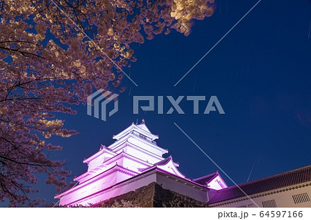 桜 64597166