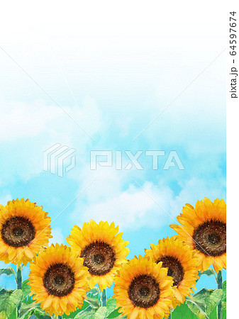 ひまわり 水彩画のイラスト素材
