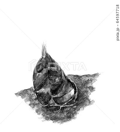 水彩 タケノコ掘り 筍 土 泥 水墨画風 モノトーン 64597718