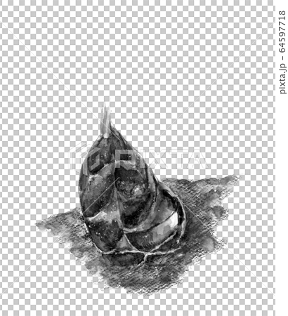 水彩 タケノコ掘り 筍 土 泥 水墨画風 モノトーン 64597718