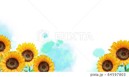 ひまわり 水彩画のイラスト素材