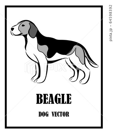 Black And White Vector Of Beagle Dog It Is のイラスト素材