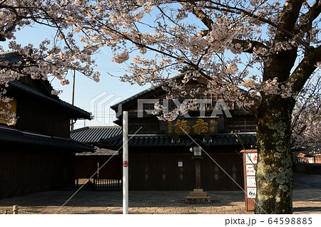 赤福五十鈴川店と桜 赤福五十鈴川店と桜 64598885