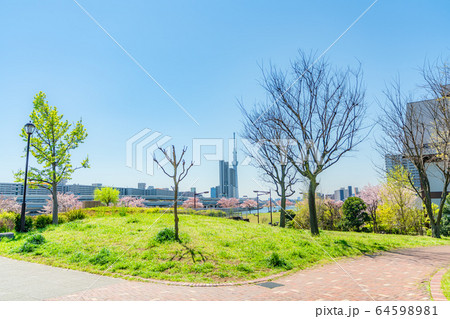 東京の春　汐入公園の桜並木 64598981